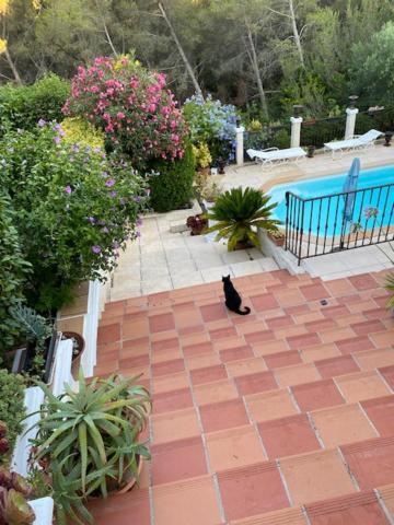 La Florentine Bandol Kültér fotó